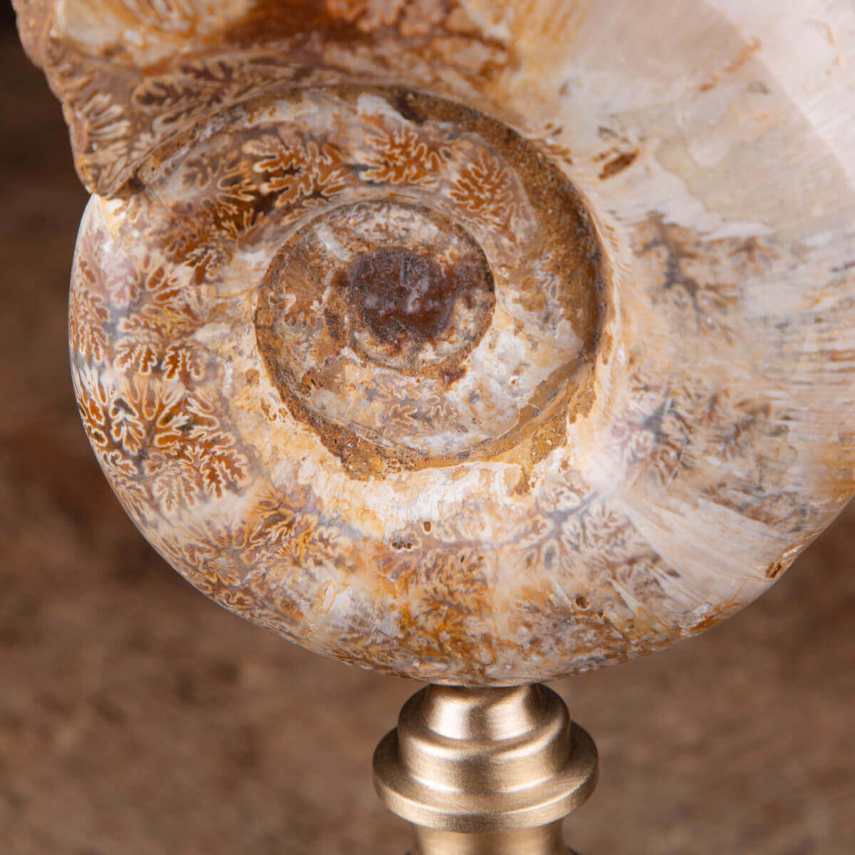 Ciondolo In Argento 925 Con Fossile Di Ammonite Naturale &ndash; Forma A Pera &ndash; Fatto A Mano &ndash; Gioiello Unico